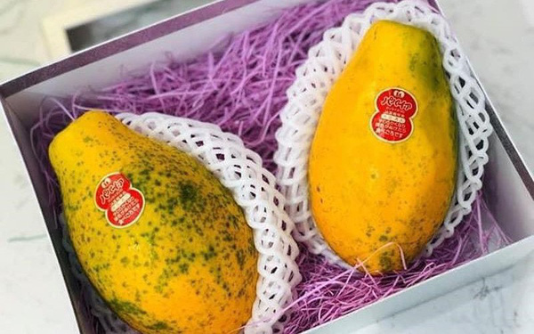 Những loại trái cây giá siêu đắt của Nhật bán tại Việt Nam