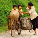 Mẹ Việt – Mẹ Tây – Mẹ Ta – Mẹ nào tốt