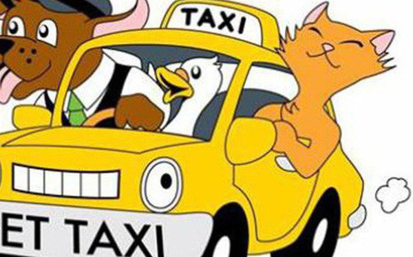 Brazil mở dịch vụ taxi dành riêng cho chó, mèo và nhiều con khác nữa